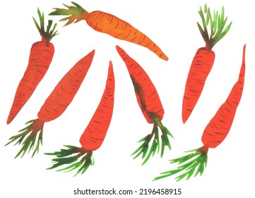 Watercolor Carrots On White Background. Perfect For Printing On Fabric, Paper For Scrapbooking, Gift Wrap And Wallpapers.