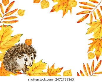 watercolor cartoon cute hedgehog with autumn leaves, hand drawn illustration of yellow and orange maple leaves, mountain ash leaves, sketch isolated on white background, for autumn posters - Powered by Shutterstock