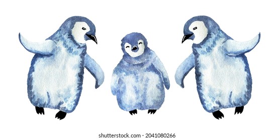 Pingouin Images Stock Photos Vectors Shutterstock