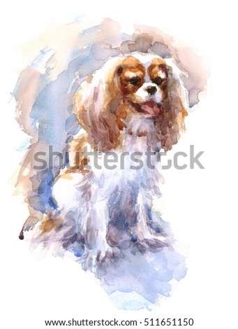 Watercolor Cavalier King Charles Spaniel Portrait - Hand Painted Illustration of Dog Pet