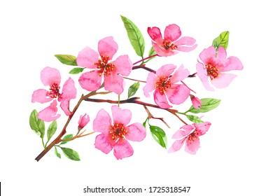 Watercolor Cherry Blossom Flower Wreath. Sakura Beautiful Spring Floral Art. Colorful Illustration Isolated On White Background. Perfectly For Greeting Wedding Card Design.