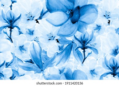 Watercolor Cherry Design  Blue Seamless Floral Pattern  Romantic Flowers Print  Watercolor Gradient Illustration  Elegant Summer Ornament  Chinese Pattern  Blue   White Spring Abstract Art 