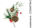 pine cone christmas watercolor