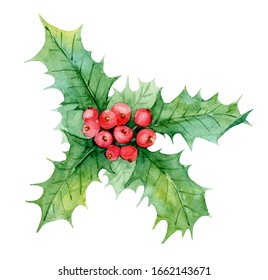 Watercolor Christmas Holly with red berries. Winter traditional floral.

