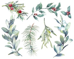 Akvarel Vánoční Rostliny Set. Ručně Kreslené Botanické Prvky Izolované Na Bílém Pozadí. Pobočky S Bobulemi, Smrkem, Cemenem, Jmelím Pro Moderní Přírodní Design