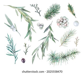 Watercolor Christmas plants set. Hand drawn botanical elements isolated on white background. Branches with berries, spruce, eucalyptus, mistletoe for modern natural design