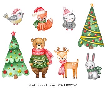 Watercolor  Christmas Set With Bear, Owl, Bird, Fox, Hare, Deer, Tree.  