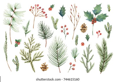 Watercolor Christmas set with evergreen coniferous tree branches, berries and leaves. Illustration for your holiday design isolated on a white background.