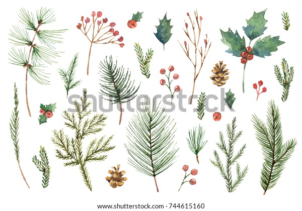 水彩のクリスマスセットで 常緑の針葉樹の枝 ベリー 葉が付きます 白い背景にホリデーデザインのイラトス のイラスト素材