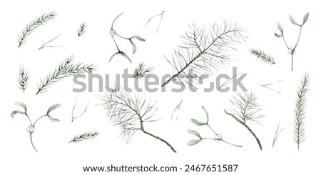 Similar – Image, Stock Photo White mistletoe Nature