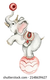 Watercolor Circus Elephant Vintage Style