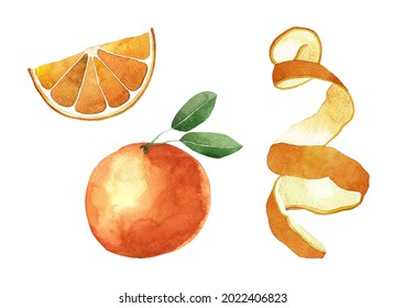 Watercolor citrus orange set with fruit, leaves, slice and spiral peel illustration. Hand drawn isolated on white background.