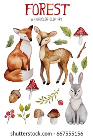 Watercolor Clipart With Cute Forest Elements. Fox , Dear And Hare With Nature Elements Like Mushrooms,branches And Leafs.