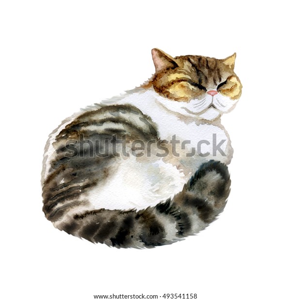 Watercolor Close Portrait Cute Sleeping Exotic Stock Illustration