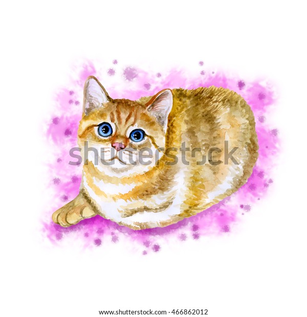 Watercolor Close Portrait Popular British Shorthair Stock