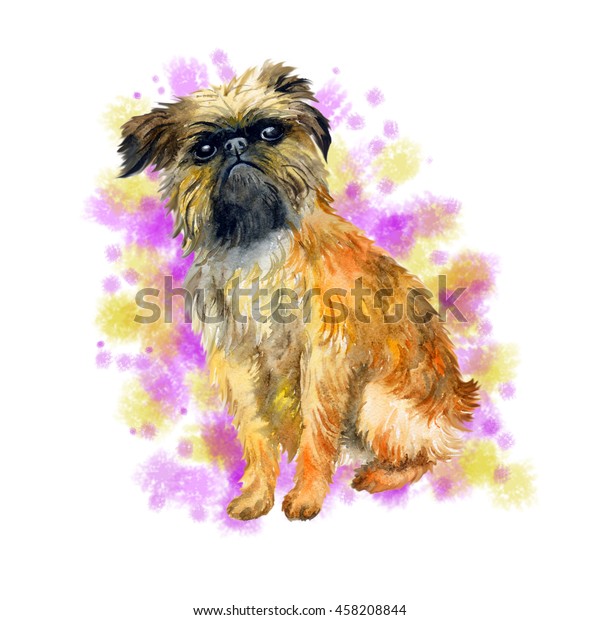 Watercolor Closeup Portrait Cute Brussels Griffon Stock