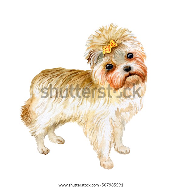 Watercolor Closeup Portrait Cute Yorkshire Terrier Stock