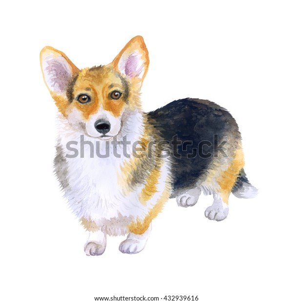 Watercolor Closeup Portrait Tricolor Shortlegged Pembroke Stock