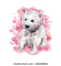 Watercolor Closeup Portrait Of West Highland White Terrier Breed Dog Isolated On Pink Background. Scotland Small White Coated Westie Dog. Hand Drawn Home Pet. Greeting Birthday Card Design. Clip Art