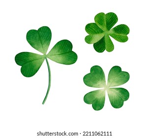 4,817 Trefoil Set Images, Stock Photos & Vectors | Shutterstock