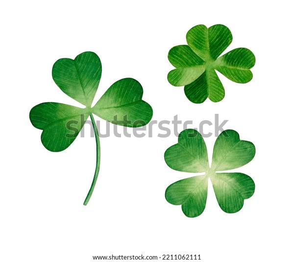 Watercolor Clover Leaves Set Quatrefoil Trefoil Stock Illustration ...