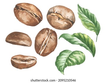 Watercolor Coffee Beans With Green Leaves Isolated On White. Watercolour Food Illustration.