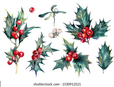 Watercolor Collection Drawn Holly Plant Isolated White  Christmas Evergreen Tree and Red Berries   Green Glossy Leaves  Winter Festive Natural Decoration  Botanical Illustration Holly 