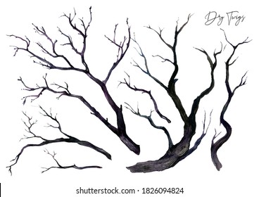 Watercolor Collection of Dry Black Twigs Isolated on White. Floral Halloween Decoration. Rustic, Gothic Style Design. Botanical Illustration of Naked Tree Branches. Autumn, Winter Season.