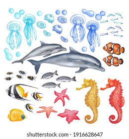 Watercolor Collection Of Sea And Ocean Creatures. Hand Painted Underwater Design Elements Isolated On White Background