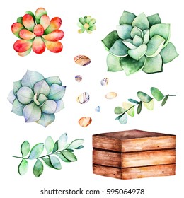Watercolor collection with succulents plants,pebble stones, branche,wooden pot.Handpainted iclipart isolated on white background.World of succulent and cactus collction.Perfect for your unique design