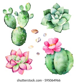 Watercolor collection with succulents plants,pebble stones,cactus.Handpainted iclipart isolated on white background.World of succulent and cactus collction.Perfect for your unique design,logo,patterns
