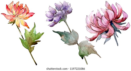 Aster Tattoo Images Stock Photos Vectors Shutterstock,Lawn Aeration Plugs