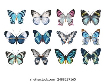 Acuarela mariposas colores 