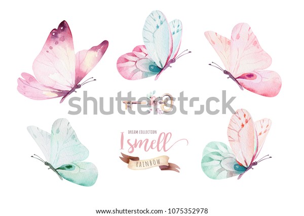 白い背景に水彩のカラフルな蝶 青 黄色 ピンク 赤の蝶の春のイラスト のイラスト素材