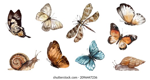 Watercolor Colorful Butterflies, Snails, Insects, Isolated On White Background. Blue, Yellow, Pink And Red Butterfly Spring Illustration.