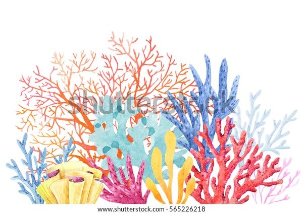 水彩のカラフルな構図サンゴ 夏の招待状 バナー のイラスト素材