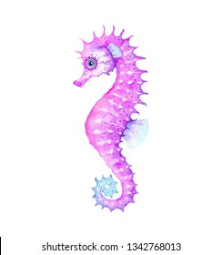 Watercolor colorful Seahorse, isolated illustration on white background.
