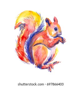 Squirrell Painting multicolored animal art