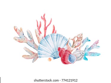 Watercolor composition of marine shell and coral.  invitation card template