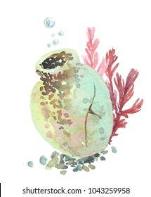 Watercolor Composition With Old Pot And Red Seagrass On The Bottom Of The Sea