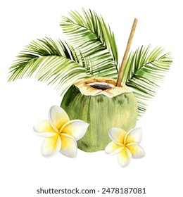 watercolor composition with tropical coconut palm leaves, fresh cocktail green coconut with straw, frangipane flowers, hand drawn sketch of green jungle plant and fruit, summer botanical illustration - Powered by Shutterstock