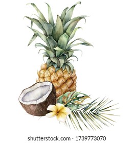 Watercolor composition of tropical fruits. Hand painted card with pineapple, coconut, plumeria and palm leaves isolated on white background. Floral and food illustration for design, print, background. - Powered by Shutterstock