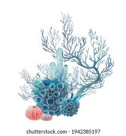 Watercolor coral illustration. Hand drawn isolated underwater branches, sea urchin composition on white background.