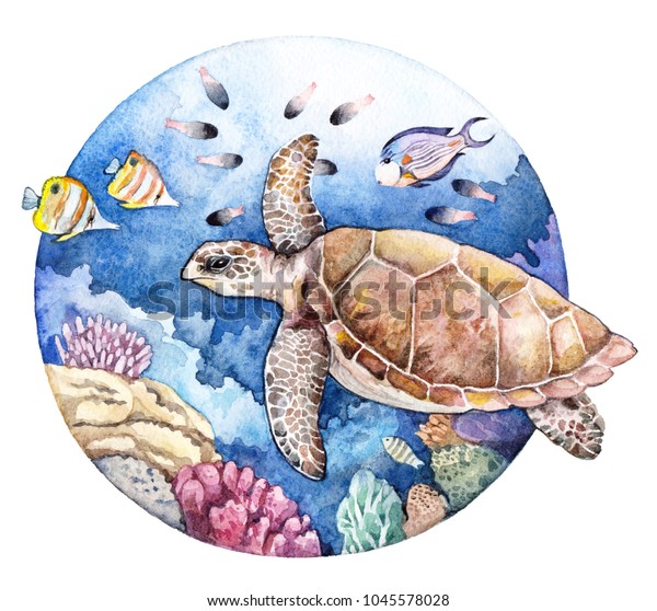 Watercolor Coral Reef Fish Turtle Underwater Stock Illustration