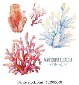 Watercolor coral set illustration. Hand drawn isolated underwater branches on white background. Sea life collection