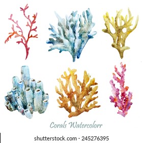 watercolor, corals, set, sponge, ocean