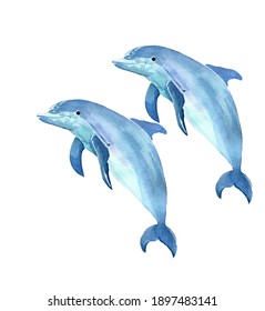 Watercolor Couple Of Dolphins Jumping Isolated On White Background.