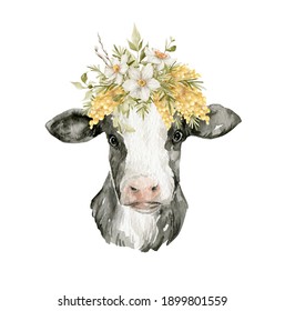 Watercolor cow head   floral bouquets  Domestic animal   floral  Cute farm pet  narcissus  mimosa  plant  leaves  Spring design