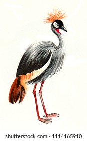 Watercolor crane bird