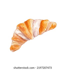 Watercolor Croissant On A White